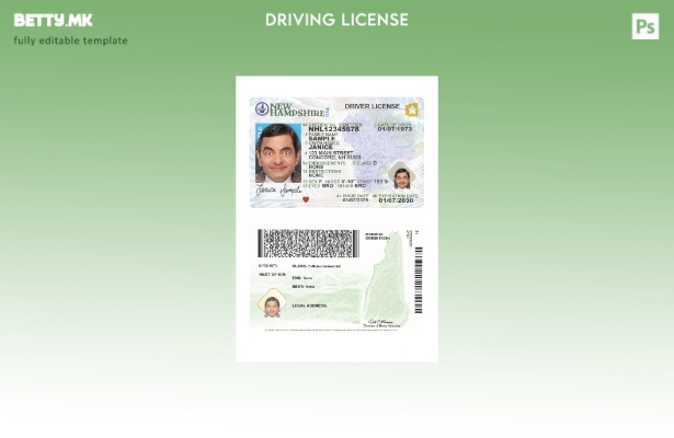 Модерен стил на САД Њу Хемпшир возачка дозвола присутен шаблон